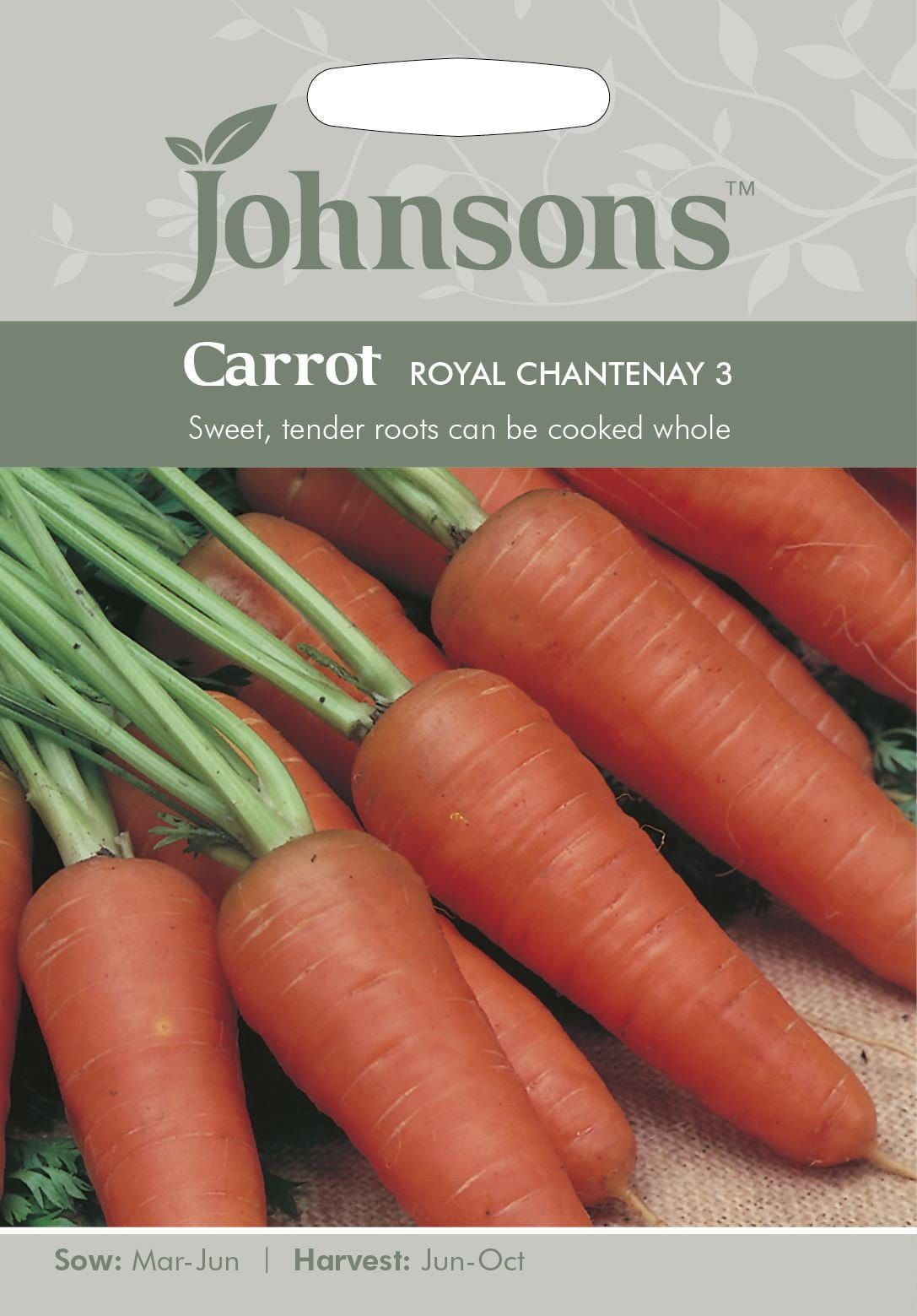 Johnsons Carrot Royal Chantenay 3 1500 Seeds