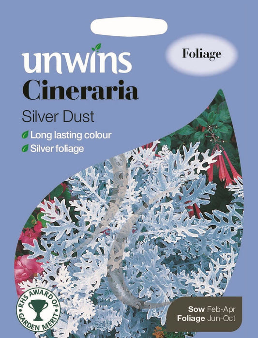 Unwins Cineraria Silver Dust 350 Seeds