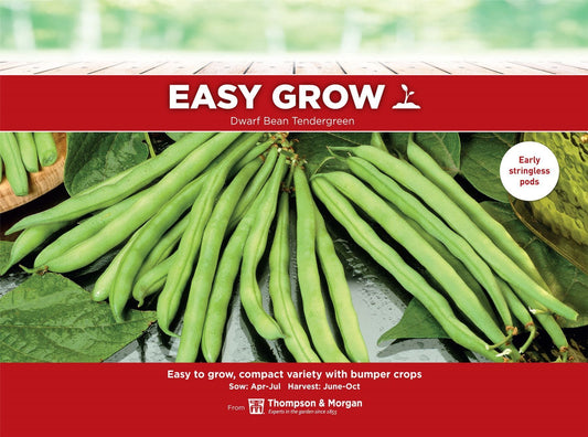 Thompson & Morgan - EasyGrow - Vegetable - Dwarf Bean - Tendergreen - 50 Seeds
