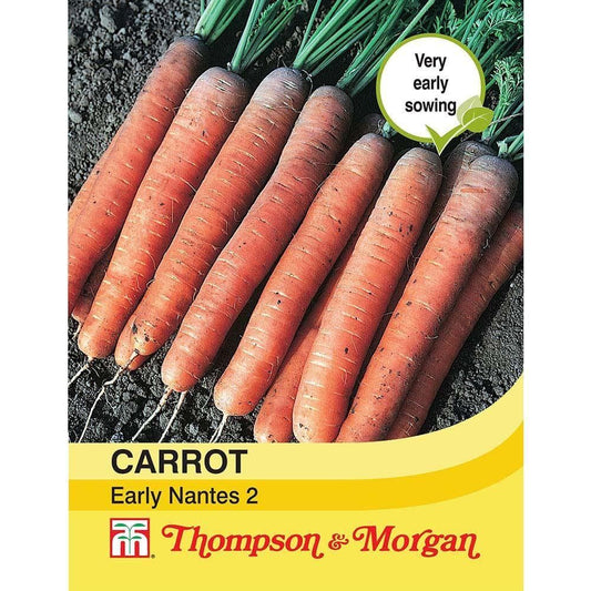 Thompson & Morgan Carrot Early Nantes 2 (Nantes 2) 1500 Seed