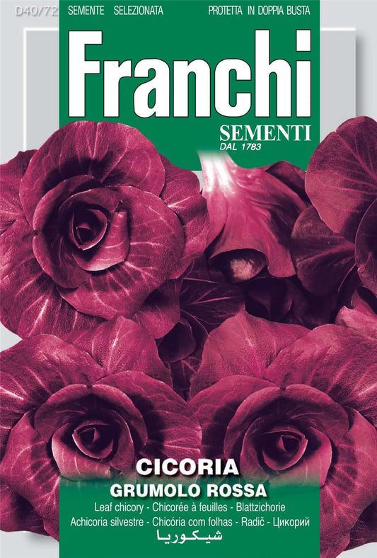 Franchi Seeds of Italy - DBO 40/72 - Chicory - Grumolo Rossa - Seeds