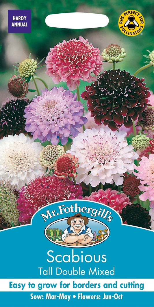 Mr Fothergills Scabious Tall Double Mixed 50 Seeds