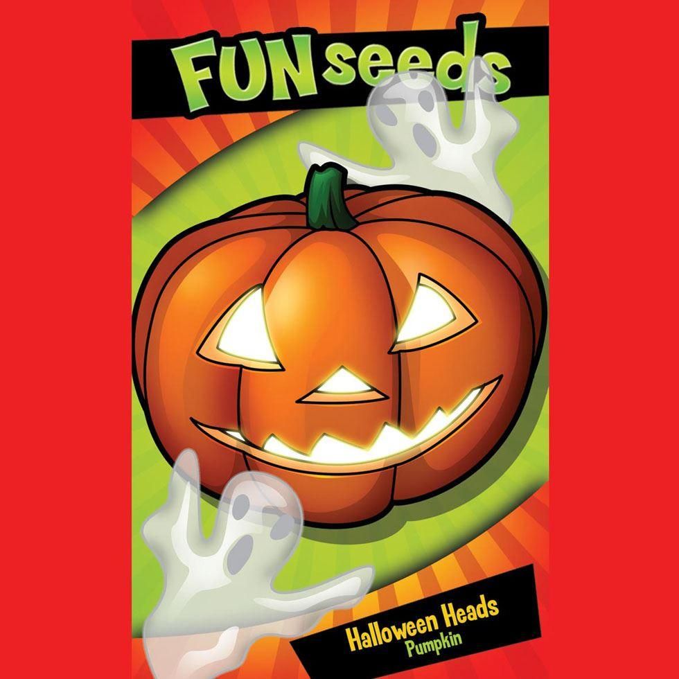 Mr Fothergills Fun Seeds Halloween Heads 10 Seeds