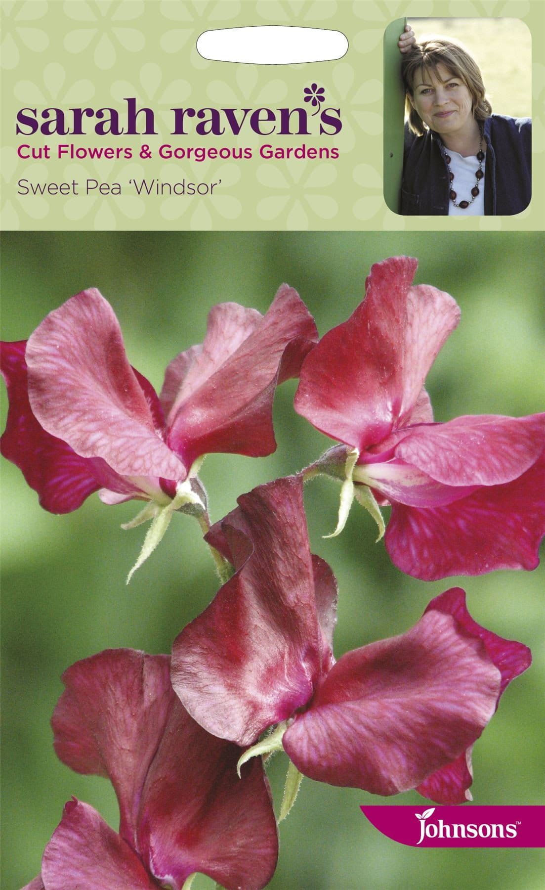 Johnsons Sarah Raven's Sweet Pea Muse 25 Seeds