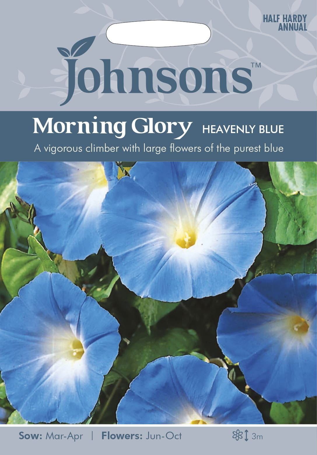 Johnsons Morning Glory Heavenly Blue 45 Seeds