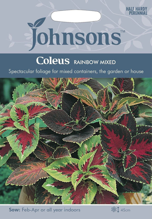 Johnsons Coleus Rainbow Mixed 100 Seeds