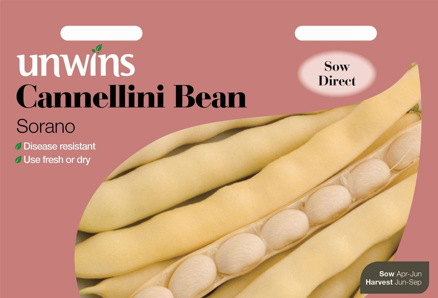 Unwins Cannellini Bean Sorano 50 Seeds