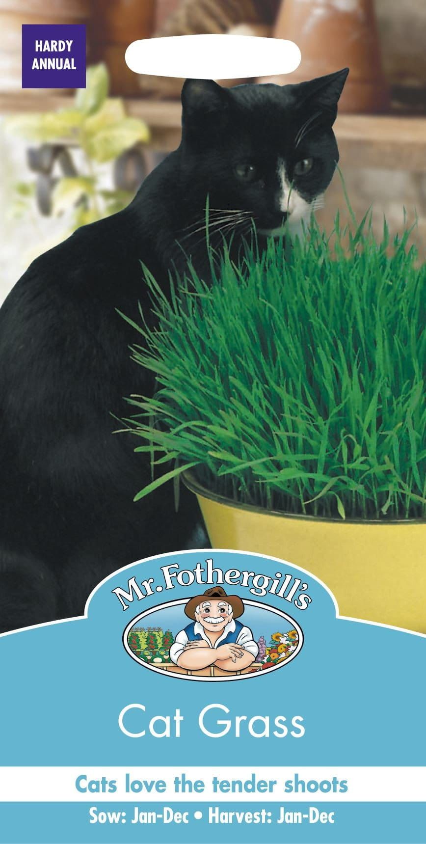 Mr Fothergills Cat Grass Avena Sativa 25g Seed