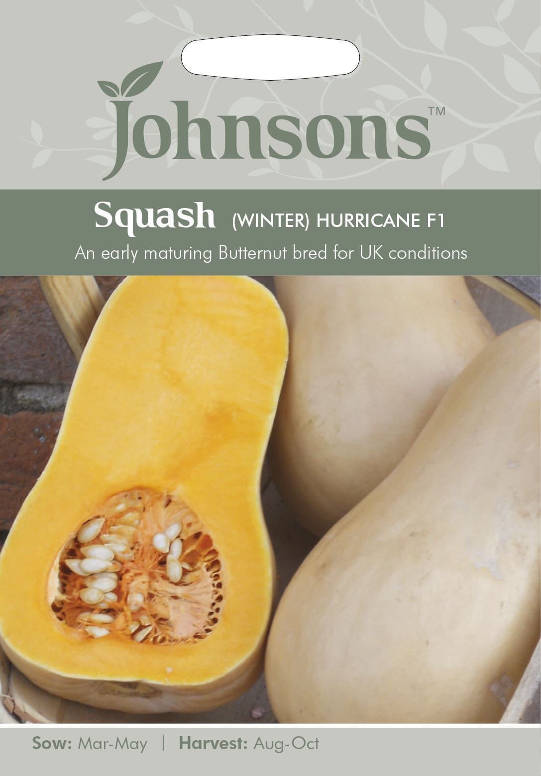 Johnsons Squash (Butternut) Hurricane F1 10 Seeds