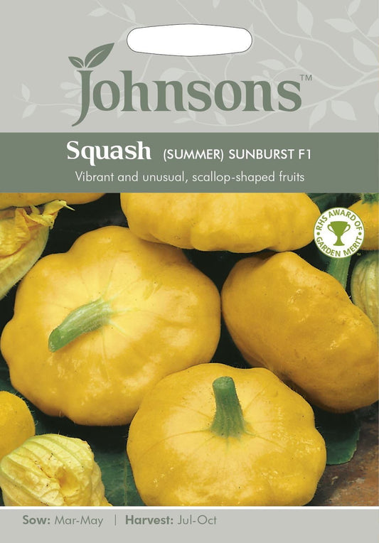 Johnsons Squash (Summer) Sunburst F1 10 Seeds