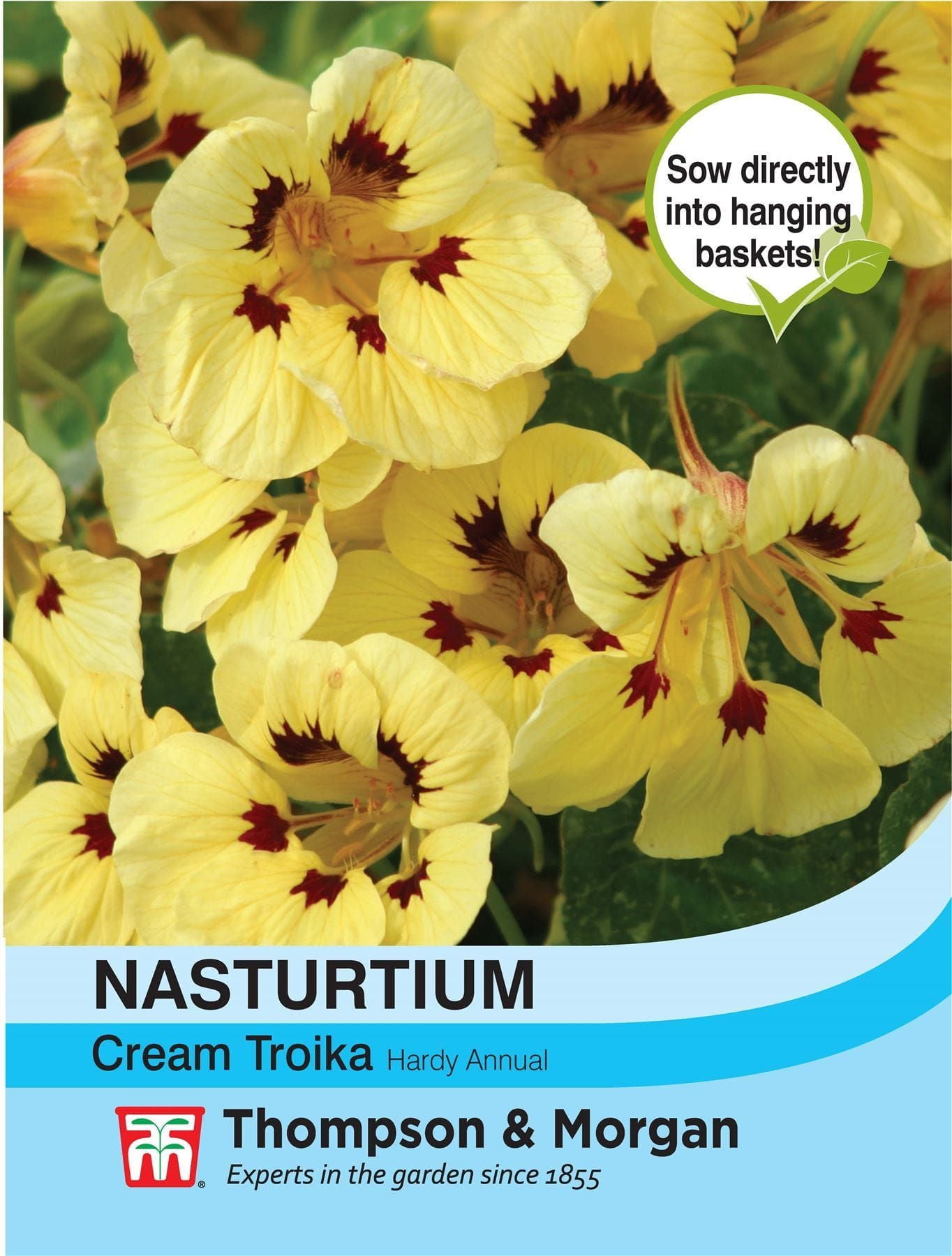 Thompson & Morgan - Flower - Nasturtium - Cream Troika - 30 Seeds