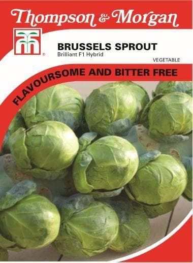 Thompson & Morgan Vegetables Brussels Sprout Brilliant F1 40 Seed