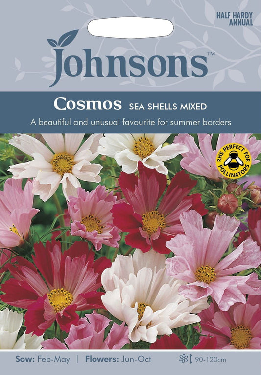 Johnsons Cosmos Sea Shells Red 60 Seeds