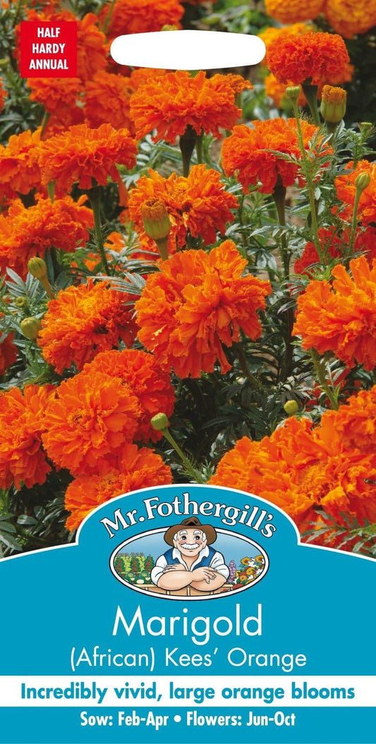 Mr Fothergills African Marigold Kees Orange 75 Seeds