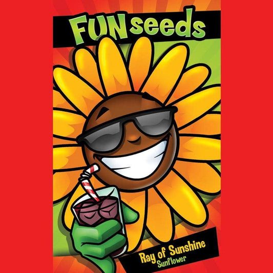 Mr Fothergills Fun Seeds Ray of Sunshine 50 Seeds