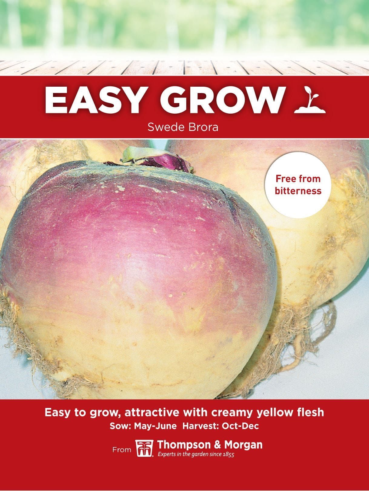 Thompson & Morgan - EasyGrow - Vegetable - Swede - Bora - 60 Seeds