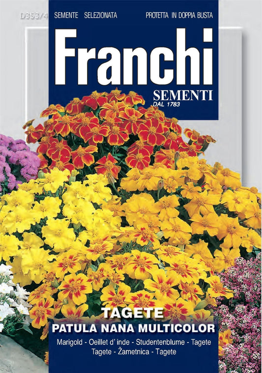 Franchi Seeds of Italy - Flower - FDBF_ 353-4 - Marigold - Tagete Patula Nana Mix - Seeds