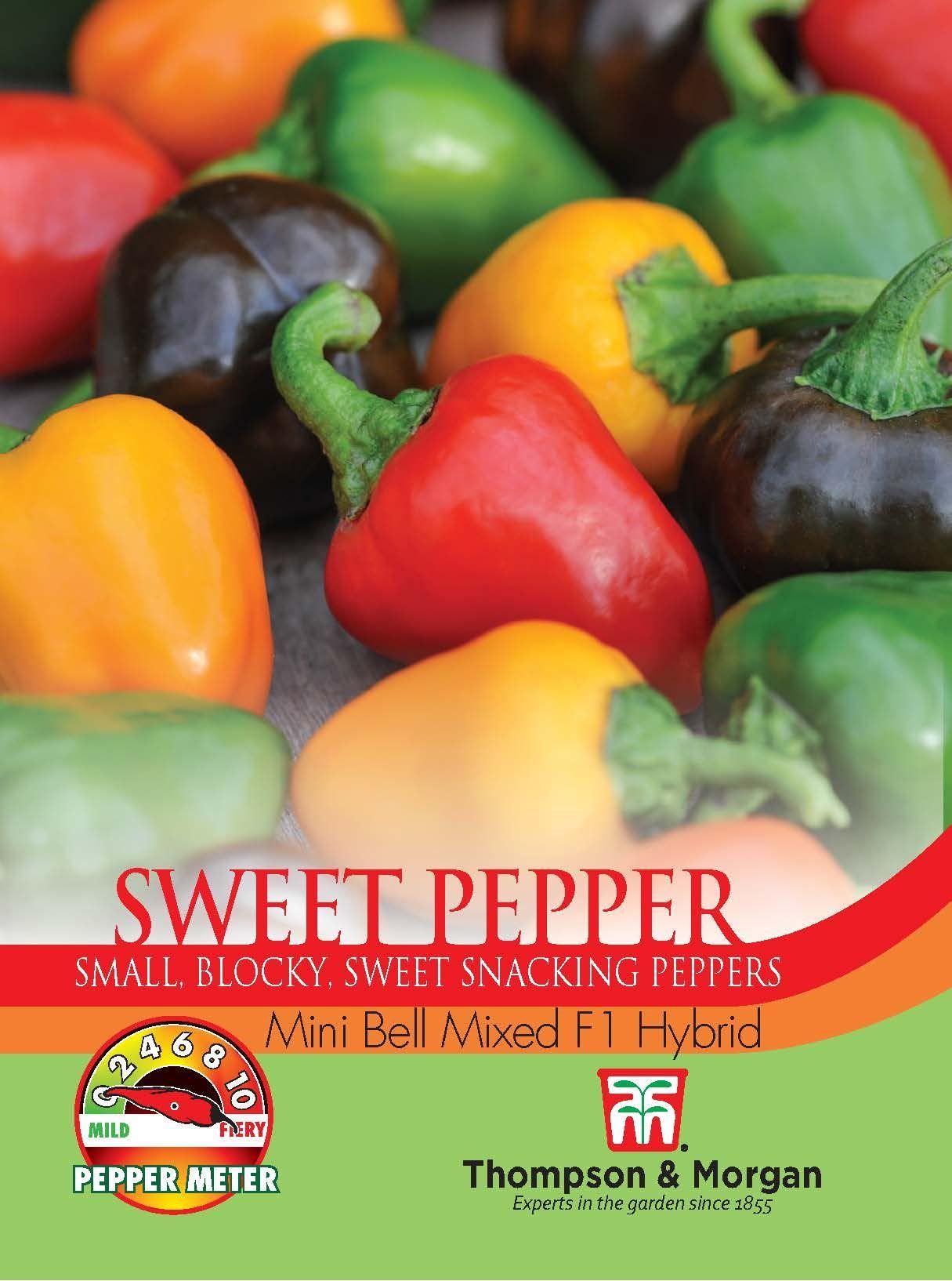 Thompson & Morgan - Vegetable - Pepper - Sweet Mini Bell Mixed F1 Hybrid - 6 Seeds