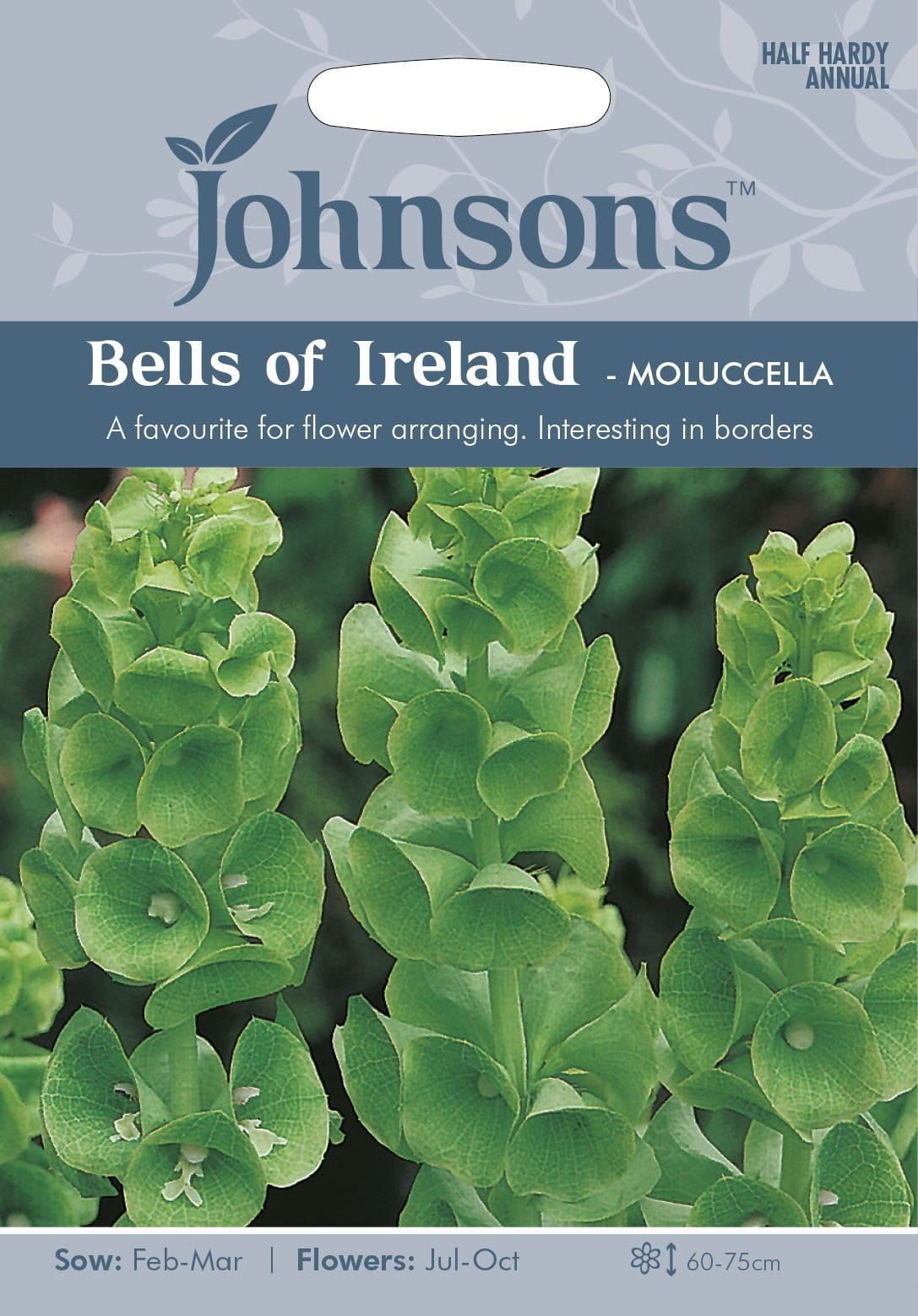 Johnsons Bells of Ireland 175 Seeds
