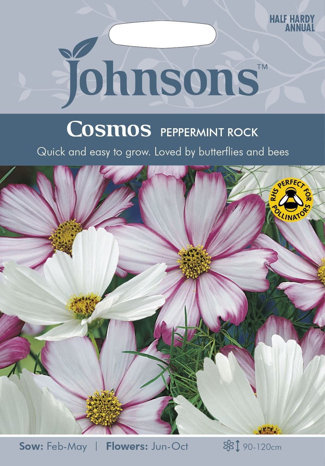 Johnsons Cosmos Peppermint Rock 60 Seeds
