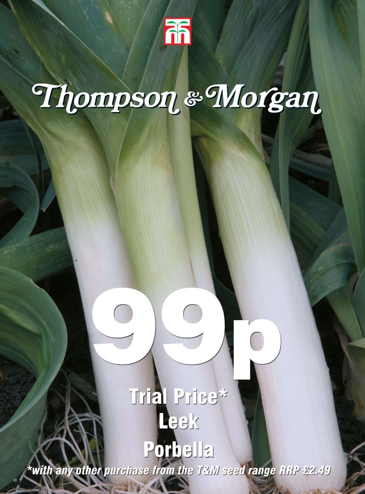 Thompson & Morgan Leek Porbella 50 Seed Only 99p