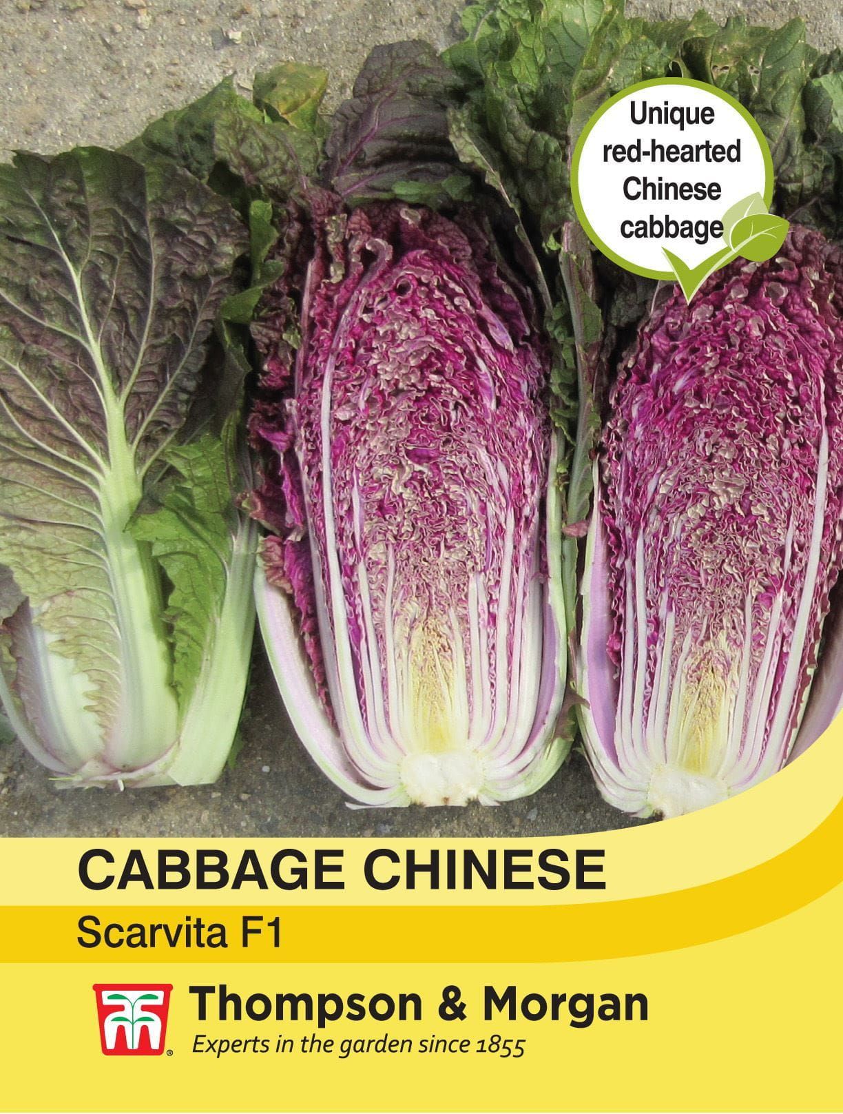 Thompson & Morgan - Cabbage Chinese Scarvita F1 Hybrid - 15 Seeds