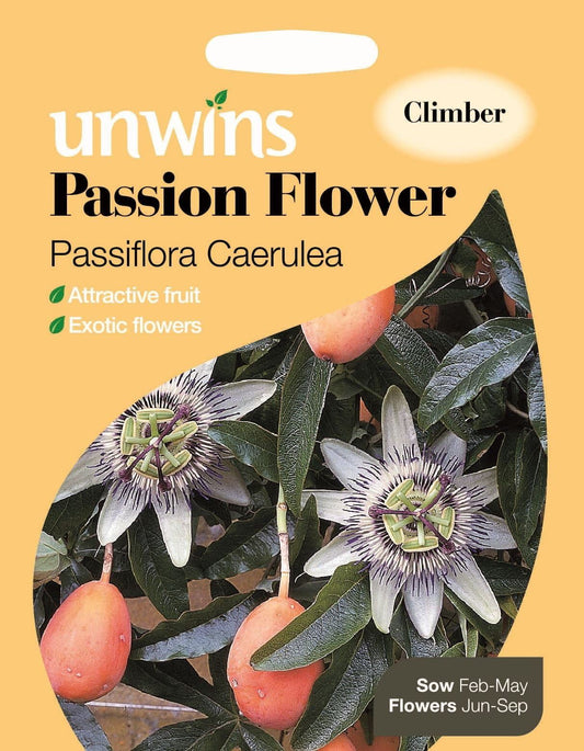 Unwins Passion Flower Passiflora caerulea 25 Seeds