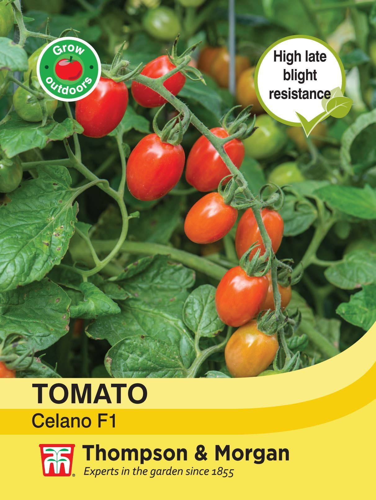 Thompson & Morgan - Vegetable - Tomato - Celano - 5 Seeds