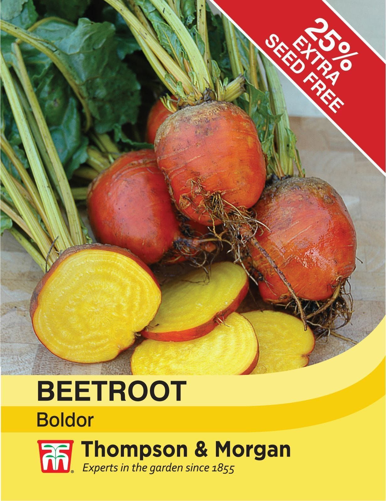 Thompson & Morgan - Vegetable - Beetroot - Boldor - 200 Seeds