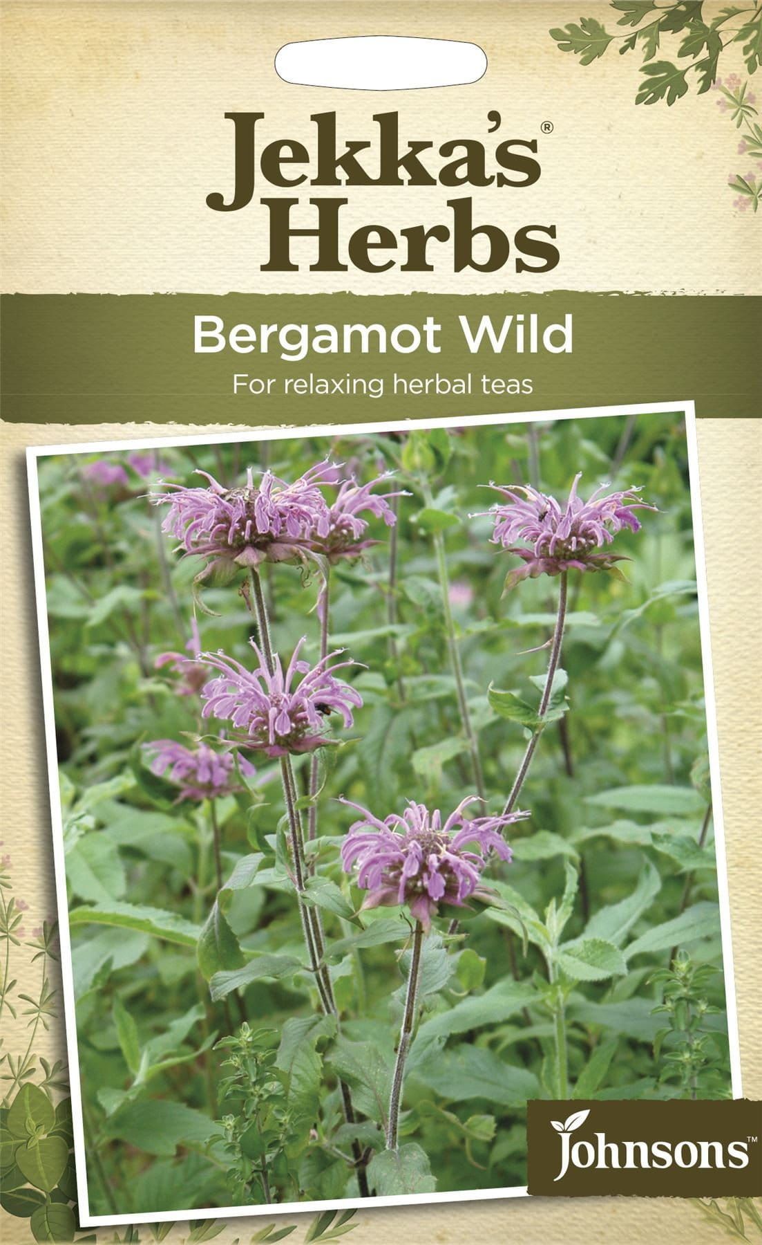 Johnsons Jekka's Herbs Bergamot Wild 180 Seeds