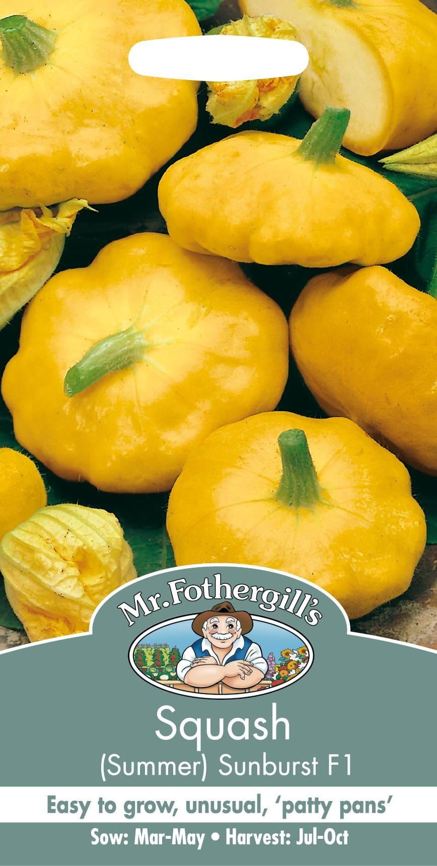 Mr Fothergills Squash Sunburst F1 10 Seeds