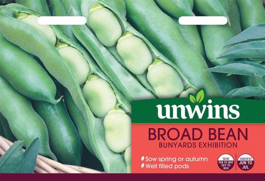 Unwins Broad Bean Bunyards Exhibition 40 Seeds