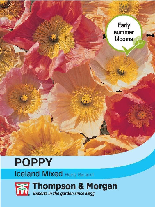 Thompson & Morgan Poppy Iceland Mixed 1900 Seed