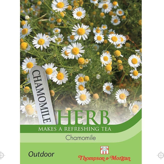 Thompson & Morgan Chamomile 700 Seed