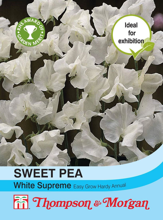 Thompson & Morgan Sweet Pea White Supreme 20 Seed