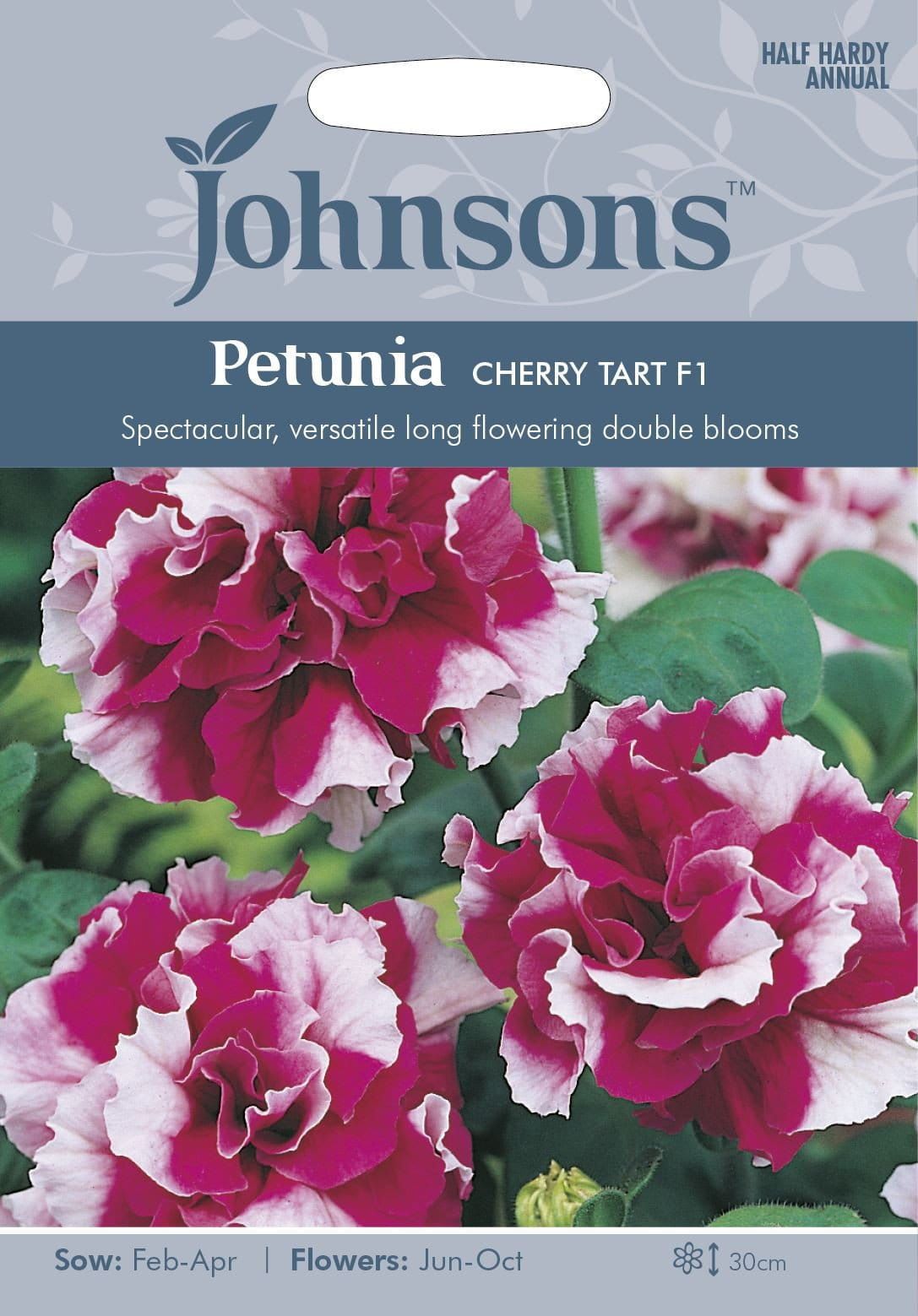 Johnsons Petunia Cherry Tart F1 40 Seeds