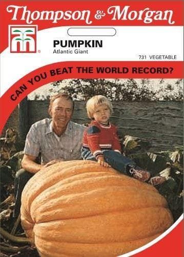 Thompson & Morgan Pumpkin Atlantic Giant 8 Seed