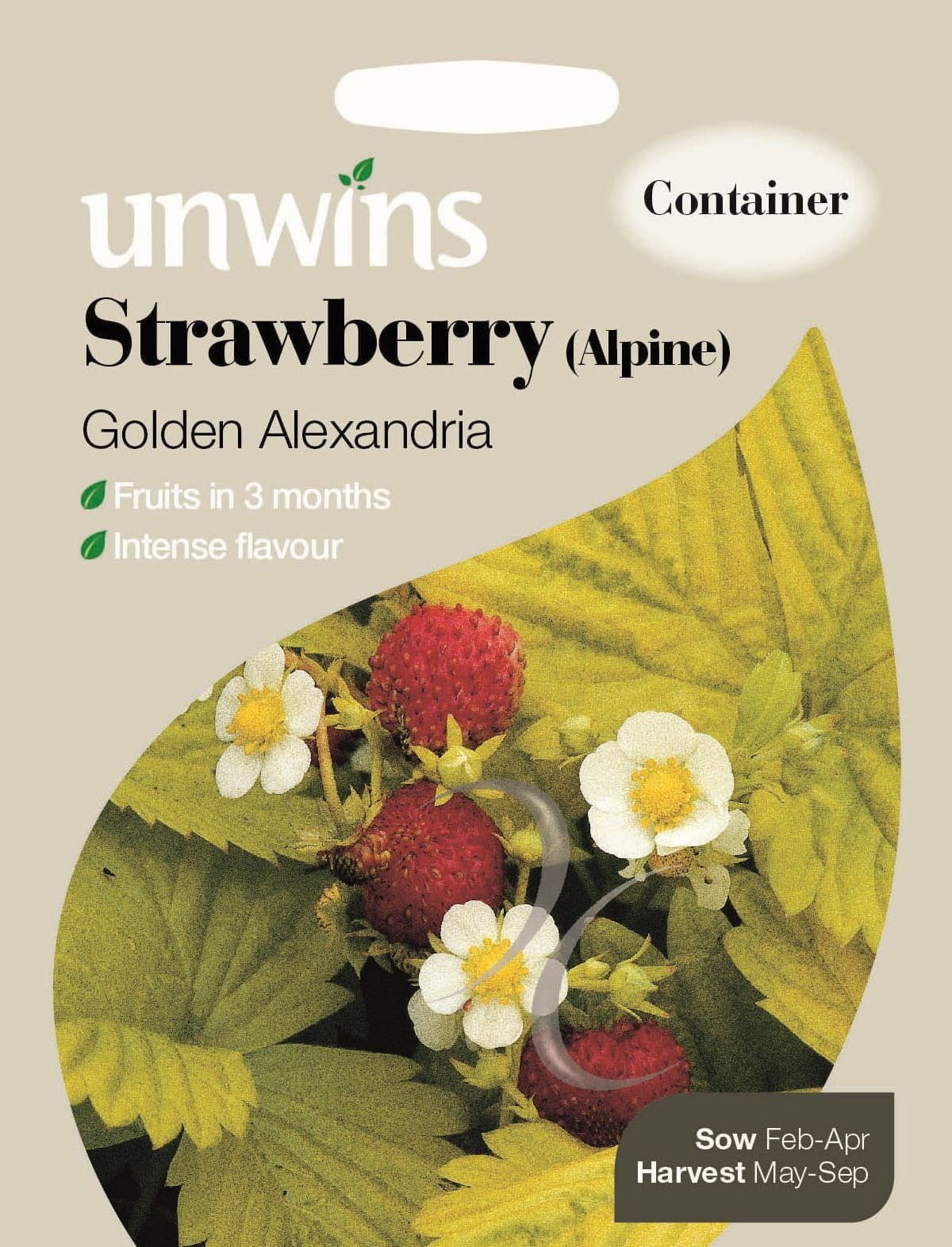 Unwins Fruit Strawberry (Alpine) Golden Alexandria 300 Seeds