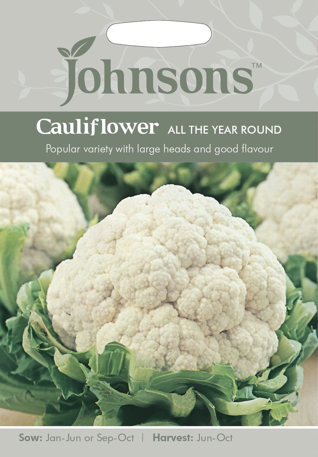 Johnsons Cauliflower All the Year Round 200 Seeds