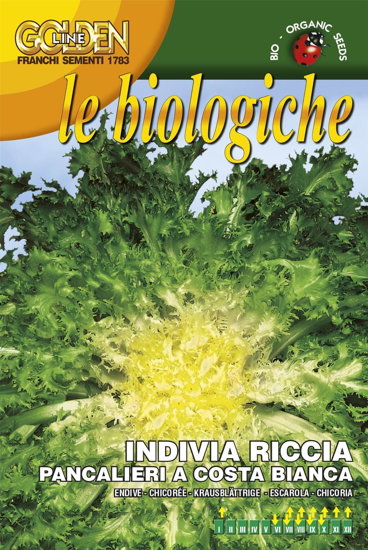 Franchi Organic BIOB75/1 Endive Pancalieri Seeds