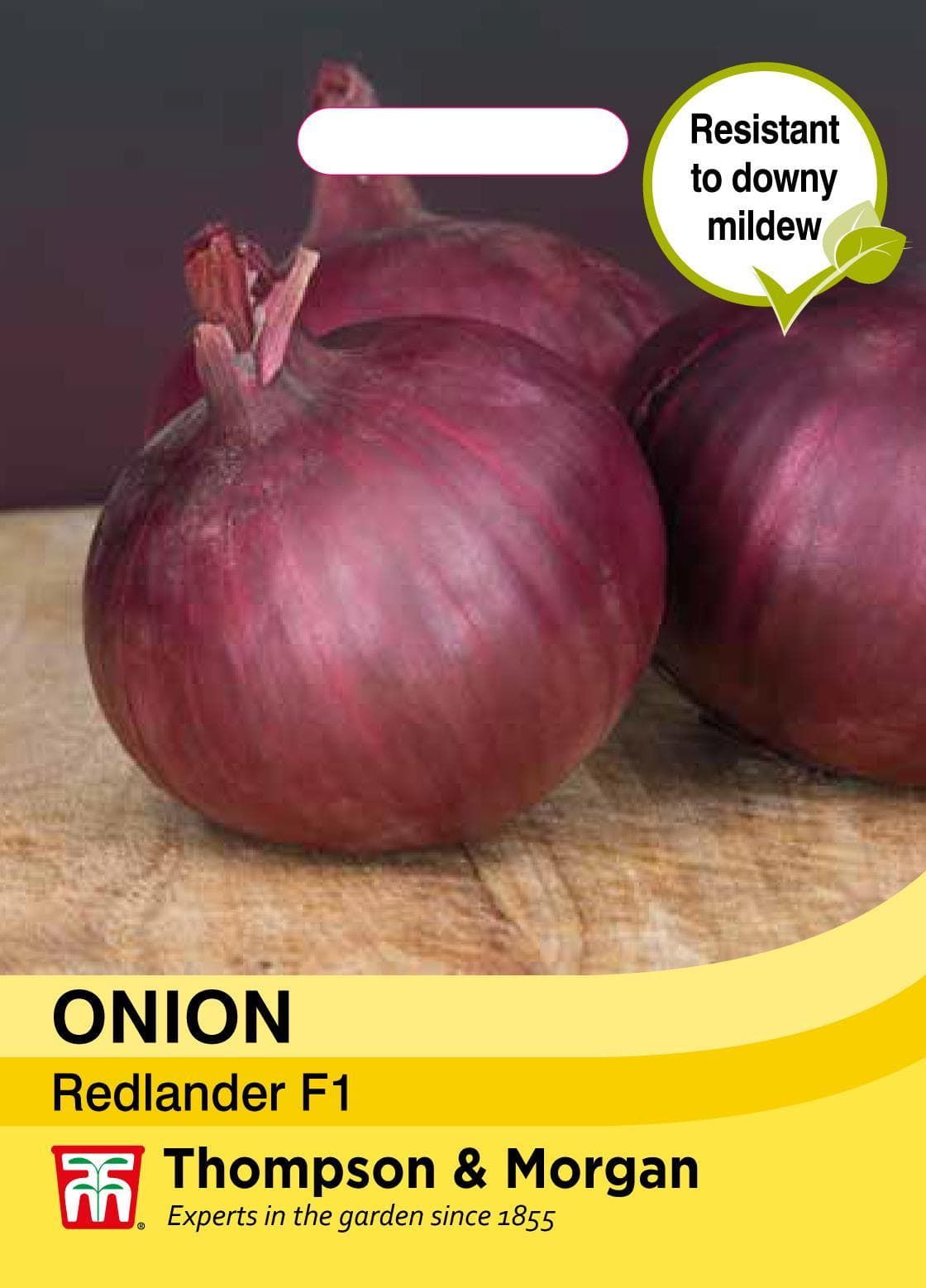 Thompson & Morgan Vegetable Onion Redlander F1 - 100 Seeds