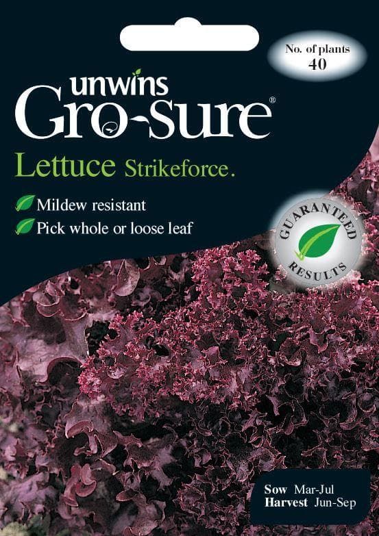 Unwins Lettuce Strikeforce 40 Seeds
