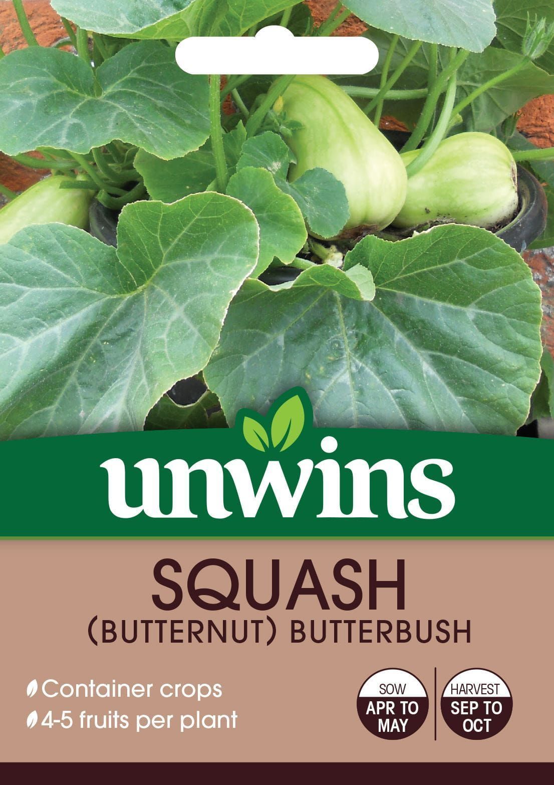 Unwins Squash (Butternut) Butterbush 8 Seeds