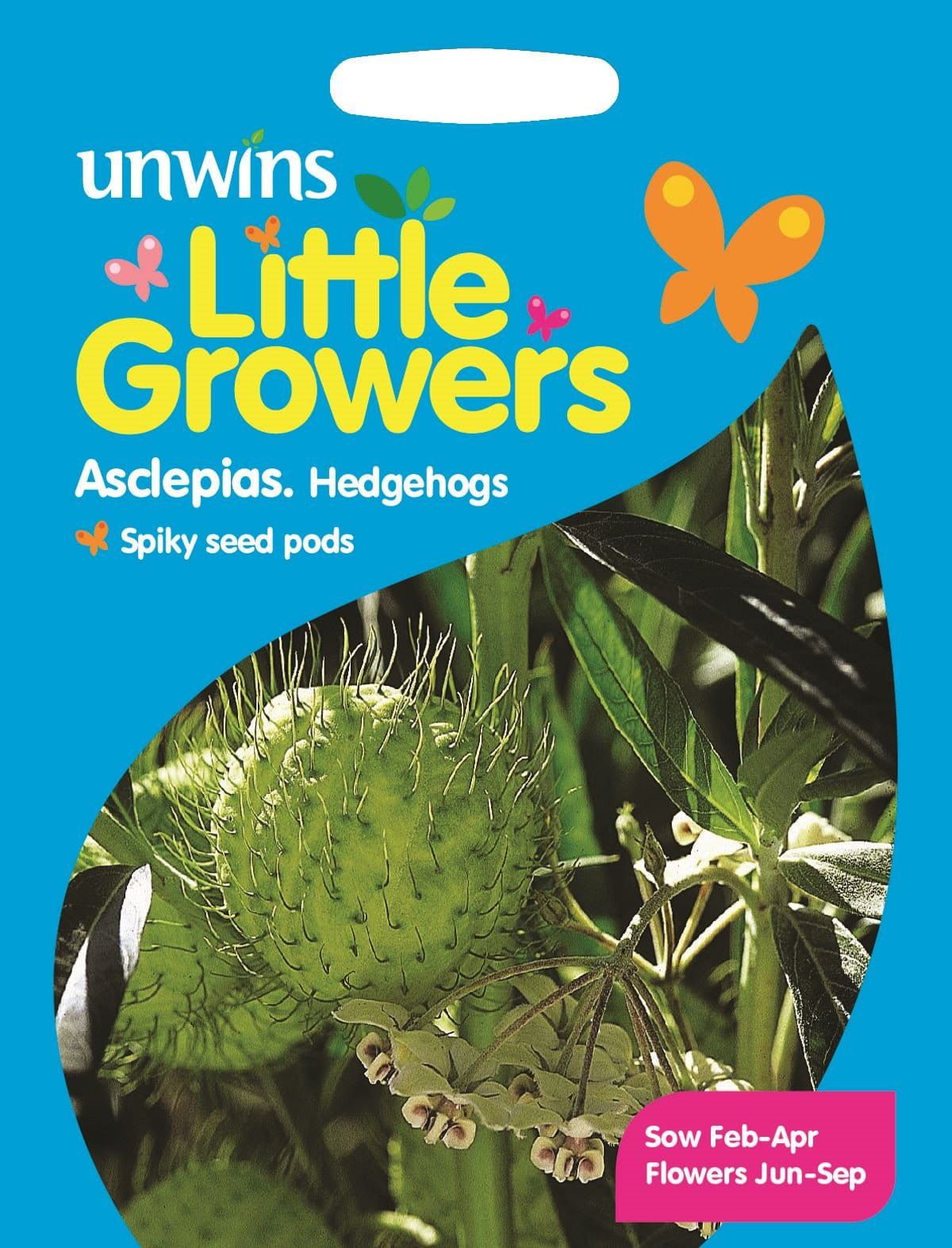 Unwins Little Growers Asclepias Hedgehogs 15 Seeds