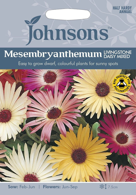 Johnsons Mesembryanthemum Livingstone Daisy Mixed 2000 Seeds