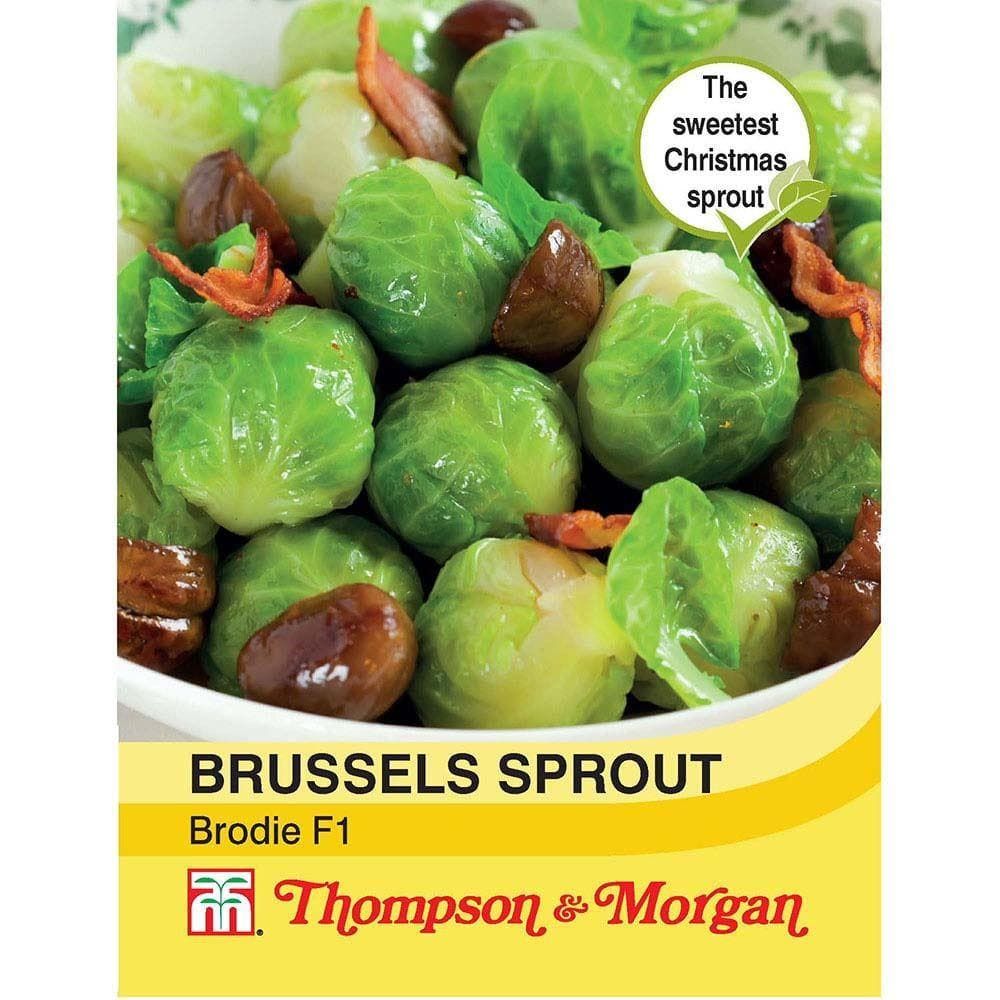 Thompson & Morgan - Vegetable - Brussels Sprout - Brodie F1 Hybrid - 35 Seeds