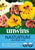 Unwins Nasturtium Ladybird Mix 30 Seeds