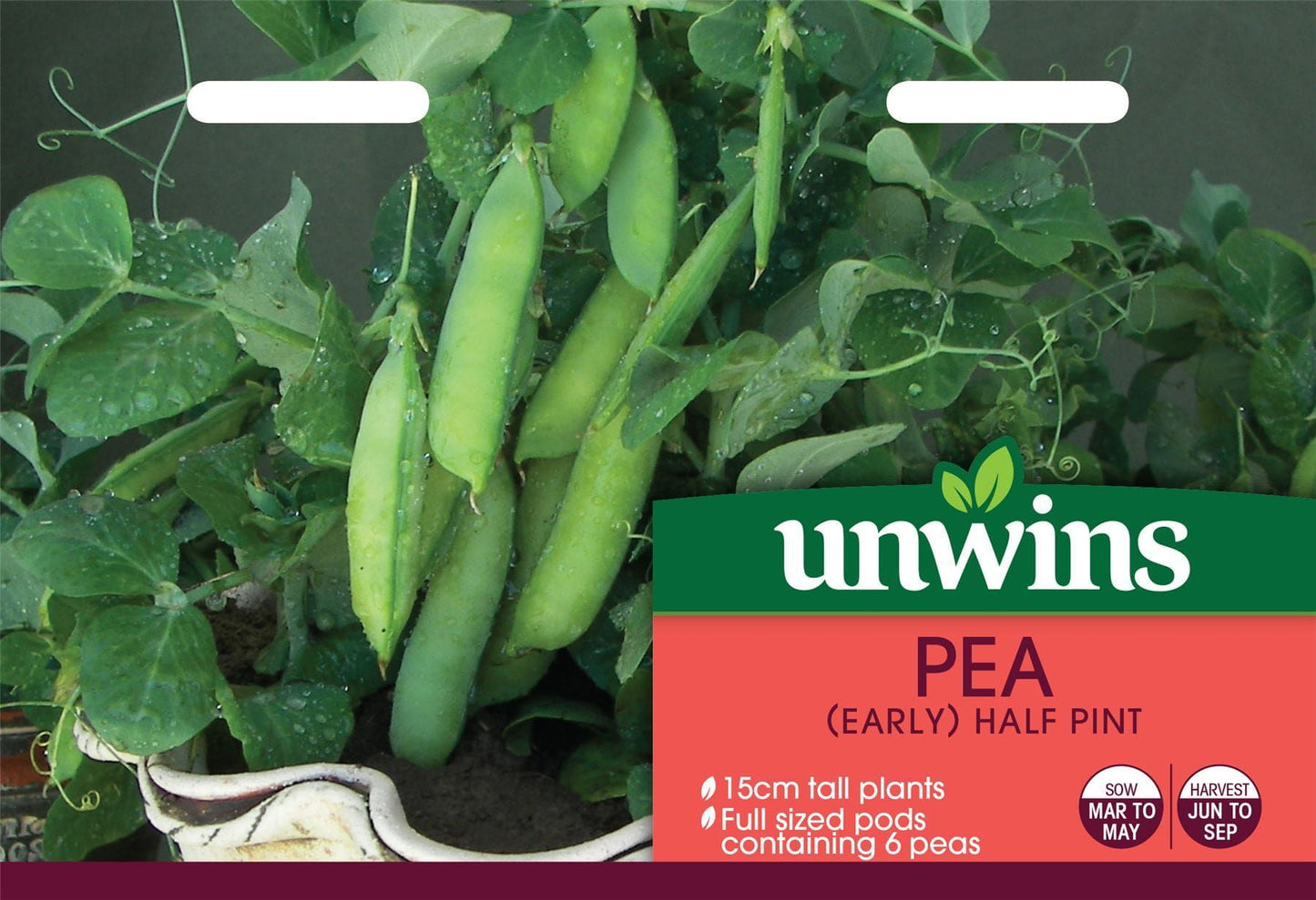 Unwins Pea (Early) Half Pint 100 Seeds