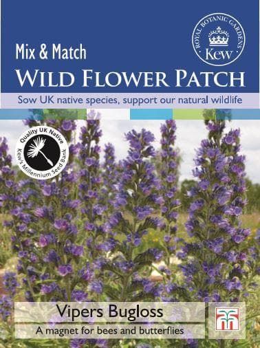 Thompson & Morgan Kew Wild Flower Patch Vipers Bugloss 100 Seeds