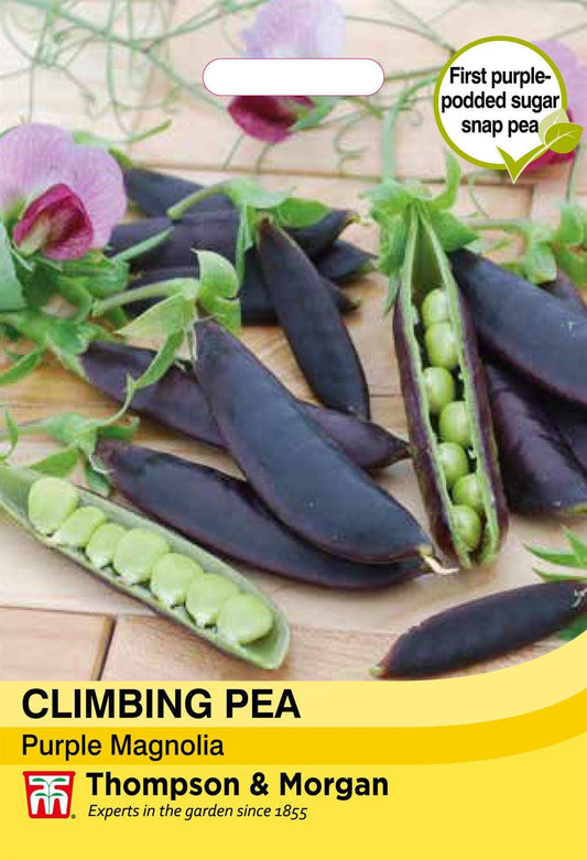 Thompson & Morgan Vegetable Climbing Pea Purple Magnolia - 50 Seeds